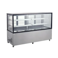 Arktic Koelvitrine met 2 schappen 610 Liter