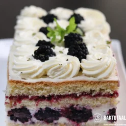 Bakframe Rechthoek verstelbaar 46x32x7,5cm