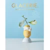 Boek: Glacerie