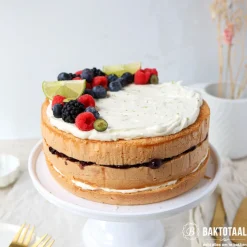 BrandNewCake Biscuit-mix Suikervrij & Lactosevrij 400g