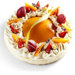 Dobla Chocoladedecoratie Wave Groen (48 stuks)