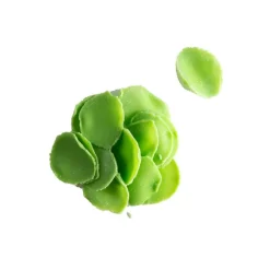 Dobla Chocoladedecoratie Blaadjes Mini Groen (1kg)