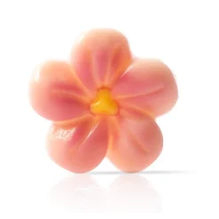 Dobla Chocoladedecoratie Perzik Bloesem (200 stuks)