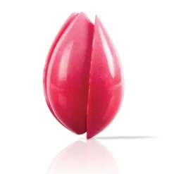 Dobla Chocoladedecoratie Tulp Rood (20 stuks)