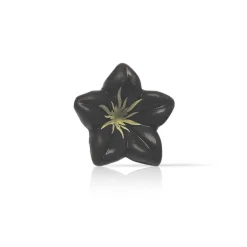 Dobla Chocoladedecoratie Bloem Donker (76 stuks)**