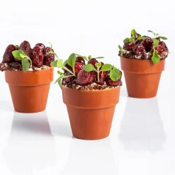 Dobla Chocoladedecoratie Bloempot Medium (66 stuks)