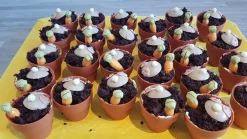 Dobla Chocoladedecoratie Bloempot Mini (24 stuks)