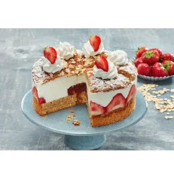 Dreidoppel Bavaroise/Fond Kwark 5kg**