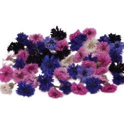 Eetbare Gedroogde Korenbloemen (50 stuks)