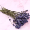 Eetbare Gedroogde Lavendeltakjes (40 stuks)