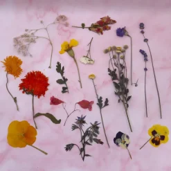 Eetbare Geperste Bloementuin met Steel (15 stuks)