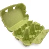 Eierdoos Groen 6 Eieren