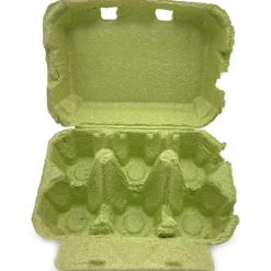 Eierdoos Groen 6 Eieren