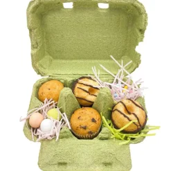 Eierdoos Groen 6 Eieren