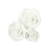 Fondant Rozen Wit Assortiment 12 stuks