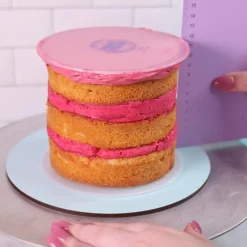 Frost Form Flexi Botercrème Plaat Rond 16,5cm Set/2