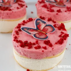 Gevriesdroogde Frambozen 40g