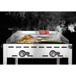 Hendi Green Fire 2 branders incl. 2 RVS GN 1/1 roosters