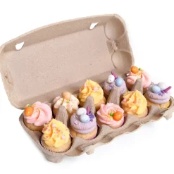 HoM Eierdoos Pulp 10 Eieren 10st.