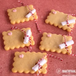 Koekjes Uitstekerset Rechthoek met Kartel 4st.