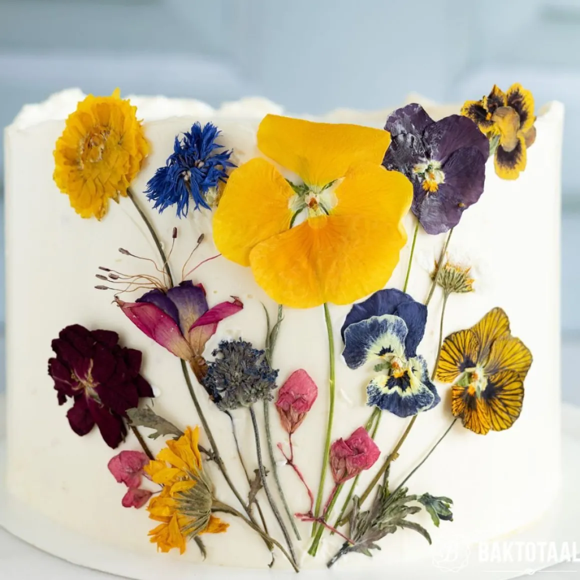 Molen de Hoop Vlaai en Taartfruit Bosvruchten 500 gr.