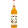 Monin Siroop Passievrucht 700ml