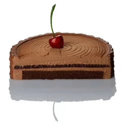 Pavoni Siliconen Vorm Boomstam Ø18,5x4,5cm