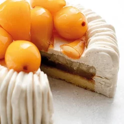 Pavoni Siliconen Vorm Charlotte Ø18x6,5cm