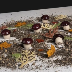 Pavoni Siliconen Vorm Champignon 28x29mm (20) 30x17,5cm