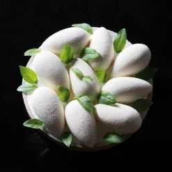 Pavoni Siliconen Vorm Mini Quenelle 42mm (100) 60x40cm