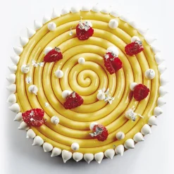 Pavoni Siliconen Vorm Top-Ipnosi Ø160mm