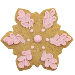 PME Koekjes Uitstekers Sneeuwvlokken Set/3