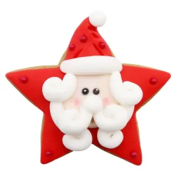 PME Koekjes Uitstekers Sterren Set/3