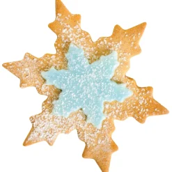 PME Koekjes uitstekerset Sneeuwvlok set/2