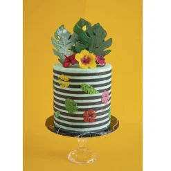 RD Kleurstof ProGel Essentials Multipack Set/6