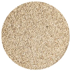 Sesamzaad Ongepeld Geroosterd 250g
