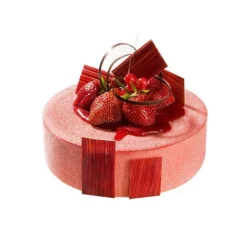 Silikomart Siliconen Bakvorm Rond Ø20x4cm + Ring