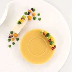 Silikomart Siliconen Vorm Piatto (6x) Ø11,5x1,5cm**