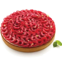 Silikomart Taartring Exoglass Geperforeerd Ø21x2cm