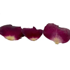 Sosa Gevriesdroogde Rozenbladeren 5g (560 stuks)