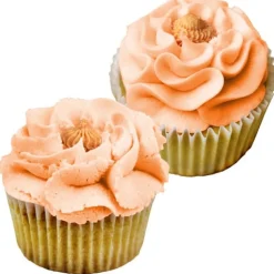 Spuitmondjesset JEM Twist nozzle set/2 (16T en 17T)