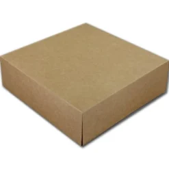 Taartdoos 25x25x8cm. Kraft 50st