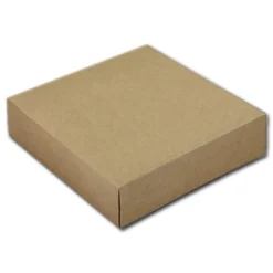 Taartdoos 19x19x5cm. Kraft 3st