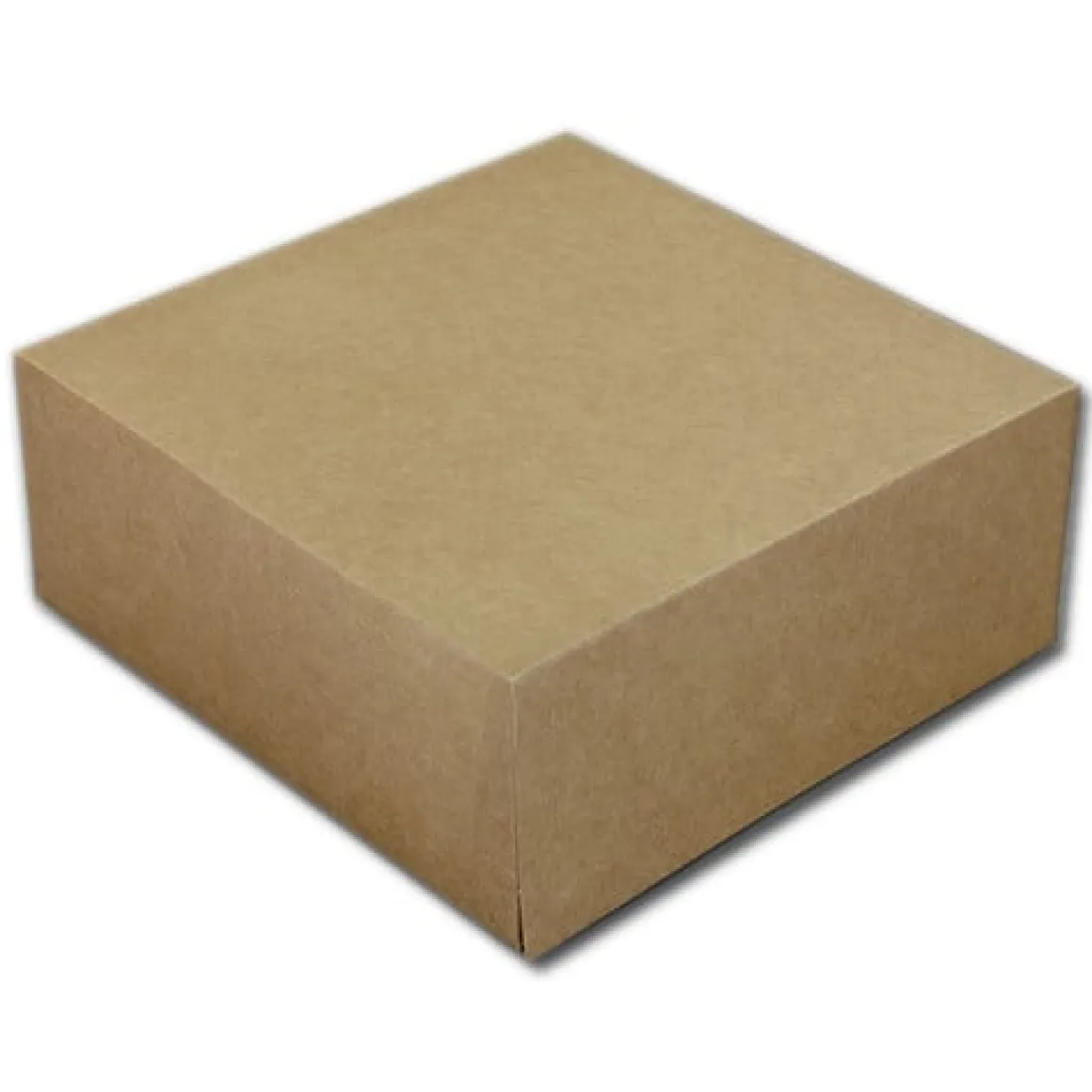 Taartdoos 19x19x8cm. Kraft 50st