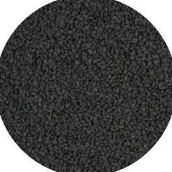 Van Beekum Nigellazaad (Zwarte Komijn) 160g