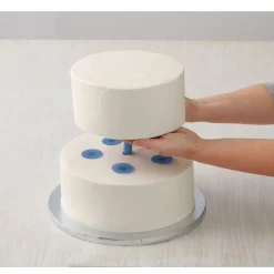 Wilton Dowels en Dopjes Set/14