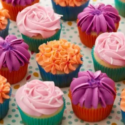 Wilton Spuitmondje #2D en Spuitzakken Set/3