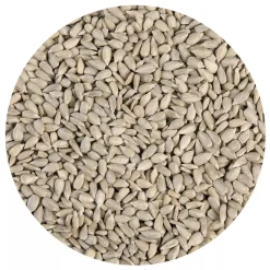 Zonnebloempitten 3kg